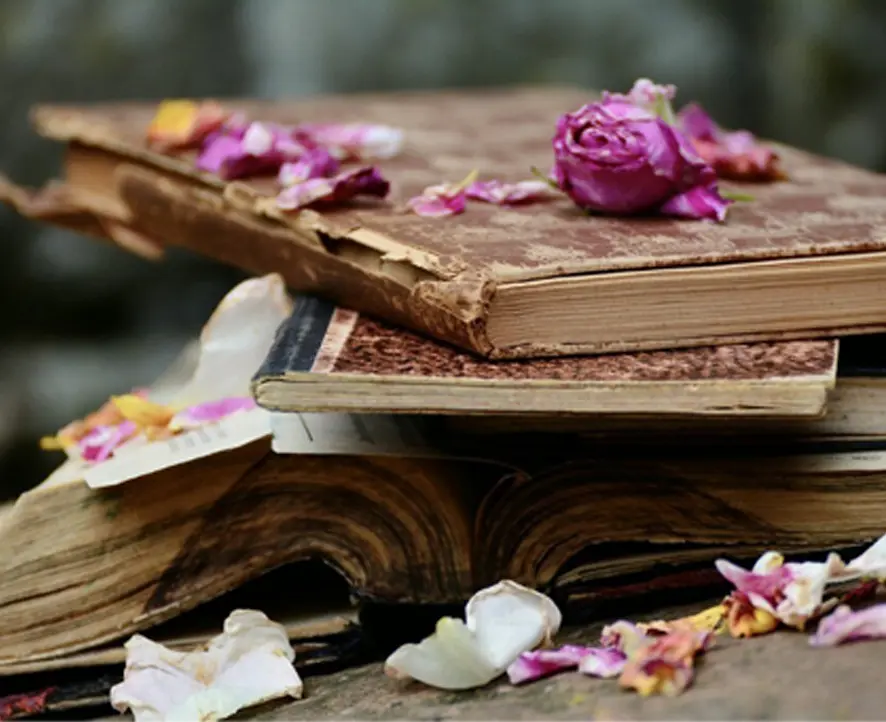 A Fragrant Expedition Through Literature Celebrating World Book Lovers Day