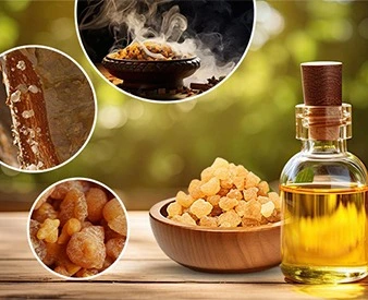 Frankincense: A Sacred Gift and Its Timeless Significance in Christianity